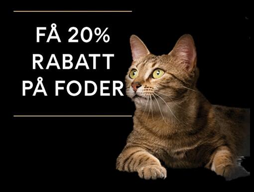 PRO PLAN Kattklubb