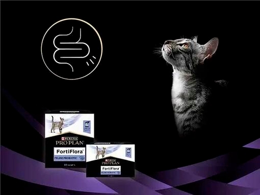 FortiFlora till Katt