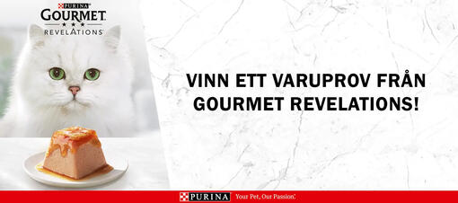 Vinn gourmet revelations 