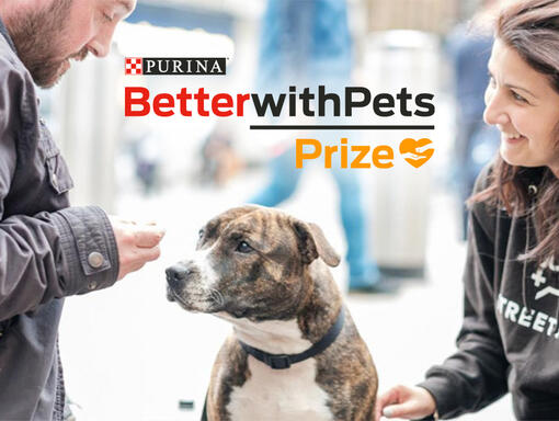 Purina BetterWithPets Prize