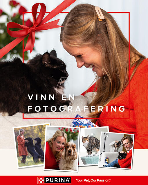 vinn en fotografering