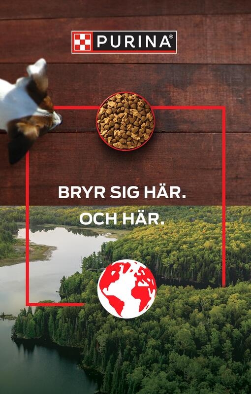 Flygfoto över skog och flodlandskap