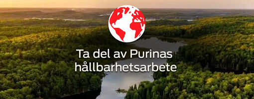 Ta del av Purinas hållbarhetsarbete