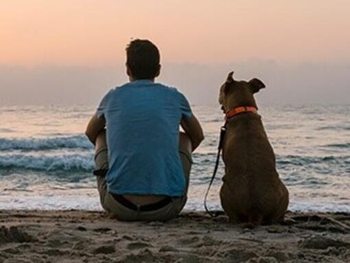 Man och hans hund sitter på en strand