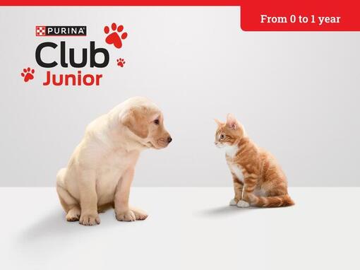 Purina Club