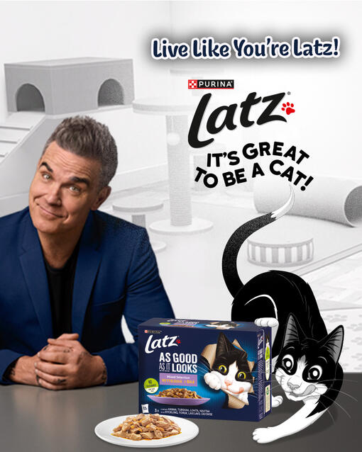 Latz it's great to be a cat