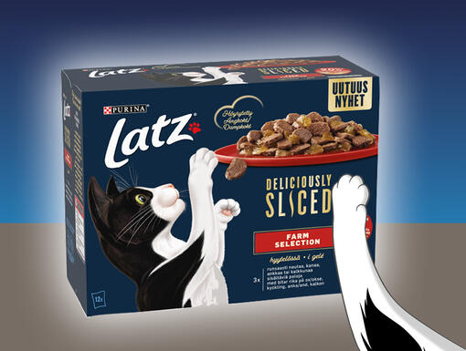 Deliciously Sliced