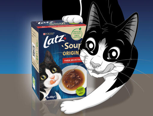 SOUP Original