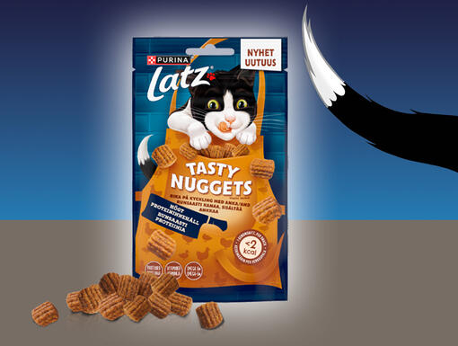 Tasty Nuggets