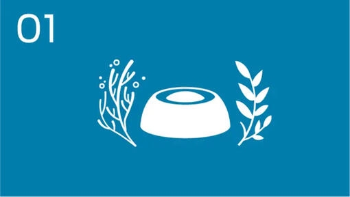 Innovativ näring för hundar och katter samt anskaffning av ingredienser med hjälp av regenerativa metoder