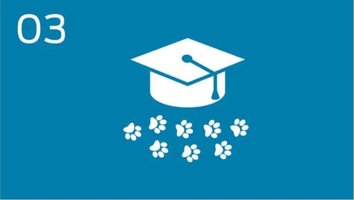 Program som främjar ansvarsfullt hund- och kattägande