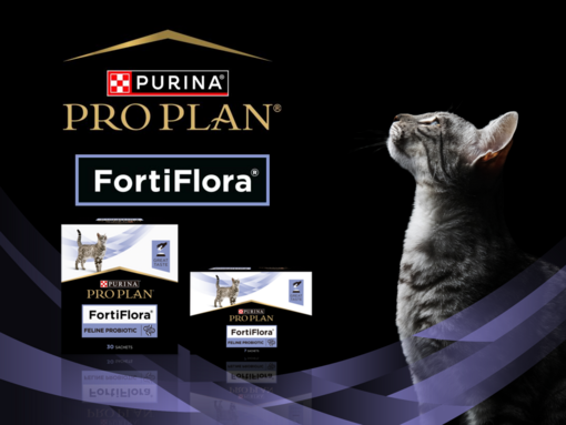 PRO PLAN Fortiflora katt med produkter