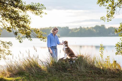 Våra Purina-åtaganden
