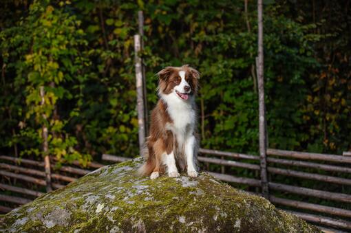 Vårt välgörenhetsarbete