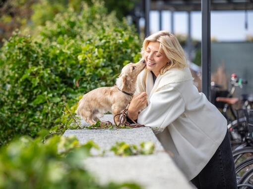 Kvinnohand mot hundtass