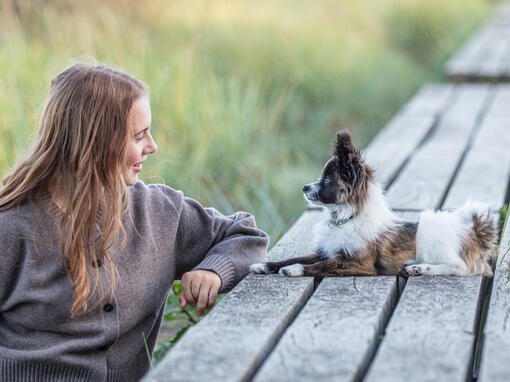 Ta hand om ditt husdjur​