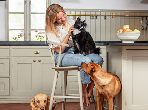 Kvinna och hund tittar på katt.