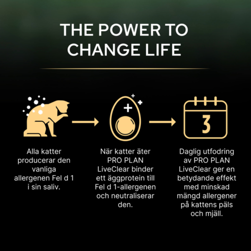 The Power to change life