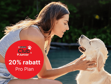 20% rabatt Pro Plan