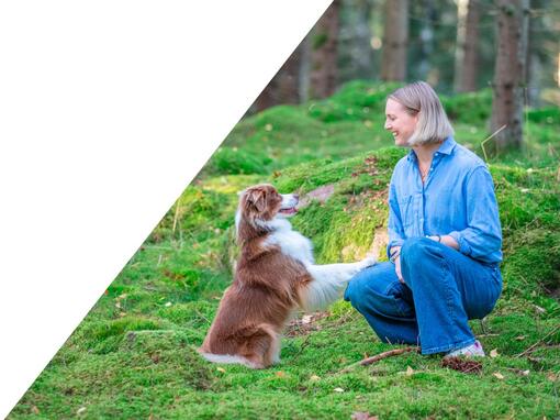 kvinna som sitter med hund på grönt gräs