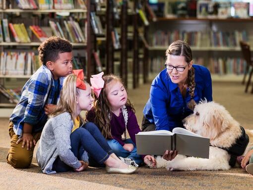 Teacher With Dogs
