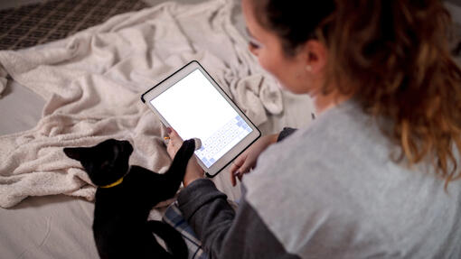 Smarta appar för dig och din katt