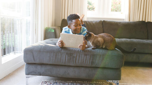 Smarta appar för dig och din hund