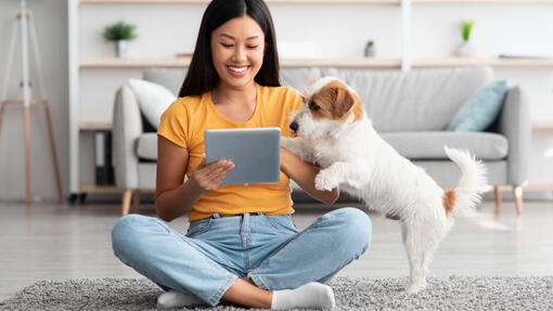 Smarta appar för dig och din hund