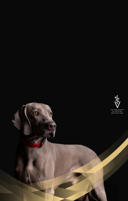 PRO PLAN® Veterinary Diets för hundar