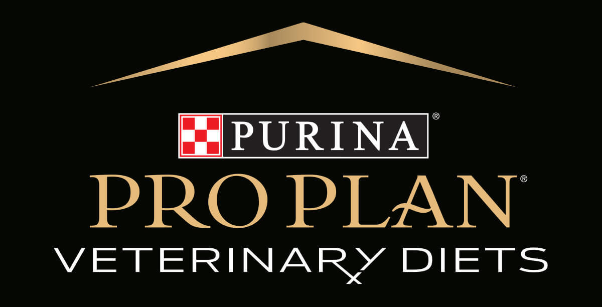 PPVD master logotyp PPVD master logotyp