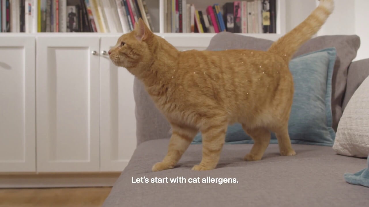 Purina Pro Plan LiveClear - How Our Cat Food Reduces Allergens